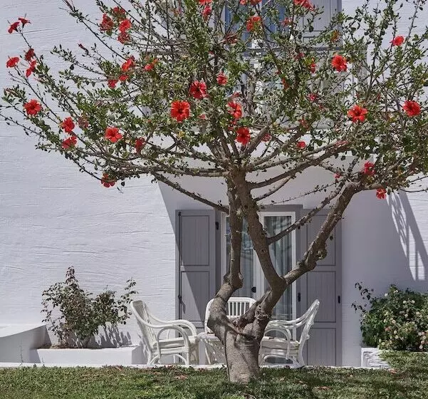 Fotos del hotel Galaxy:  7