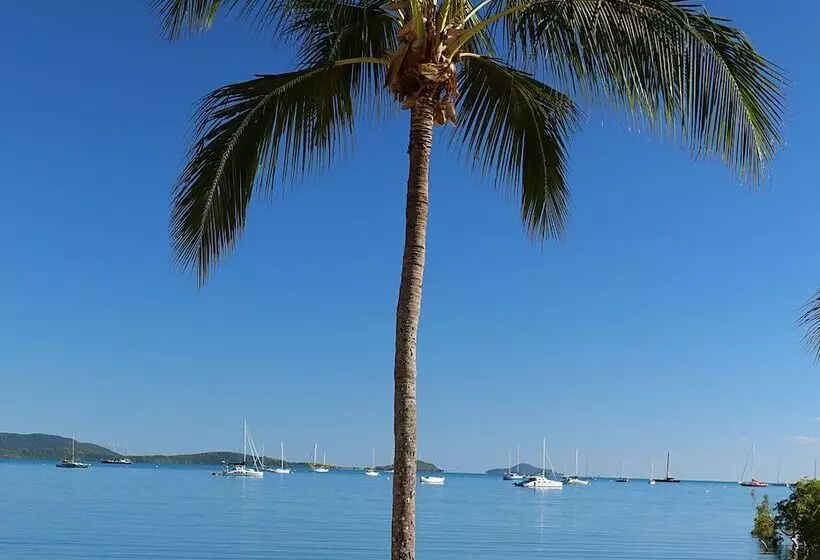 Fotos del hotel Whitsunday Terraces Resort - Ocean Views:  13