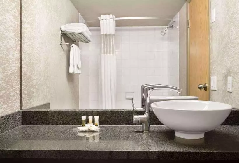 Fotos del hotel Days Inn By Wyndham Calgary Airport:  10