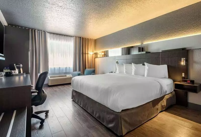 Fotos del hotel Quartier, Ascend  Collection:  17