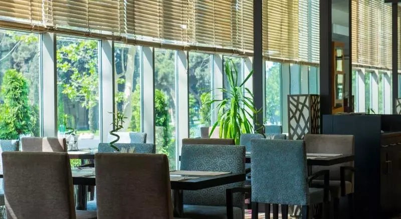Fotos del hotel Park Inn By Radisson Baku:  6