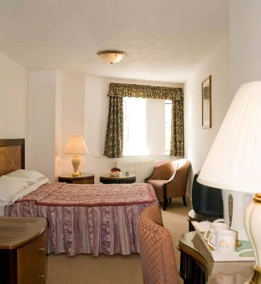 Fotos del hotel The Metropole:  2