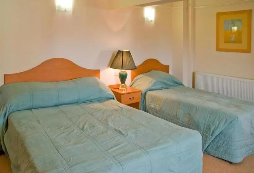 Fotos del hotel The Metropole:  24