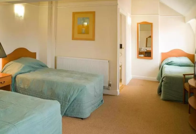 Fotos del hotel The Metropole:  14