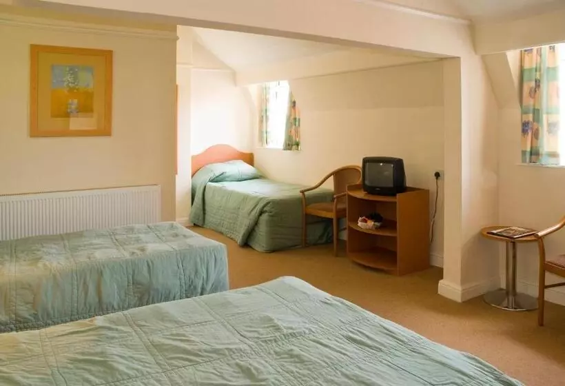 Fotos del hotel The Metropole:  18