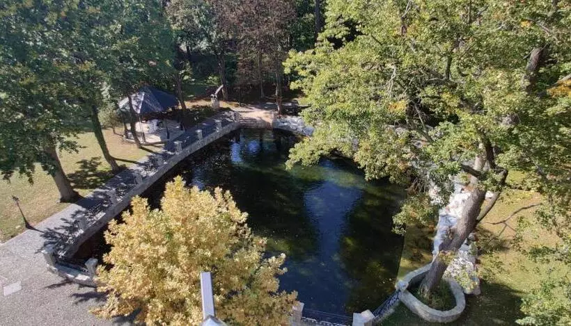 Fotos del hotel Gartenhotel Altmannsdorf:  9