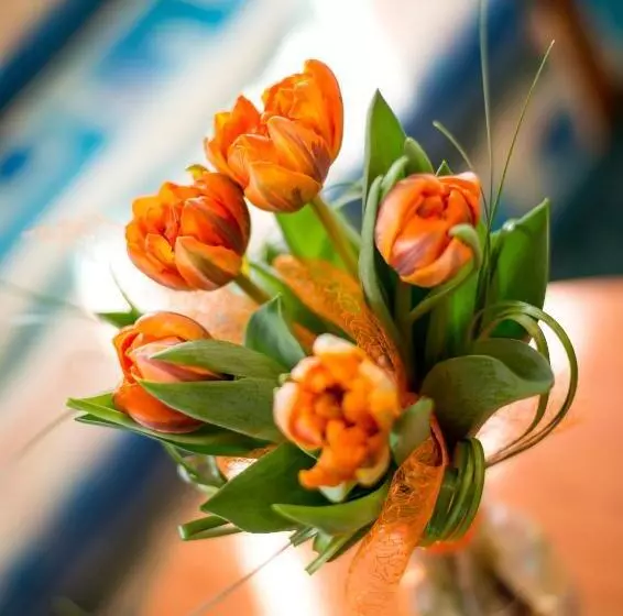 Fotos del hotel Dvorak:  12