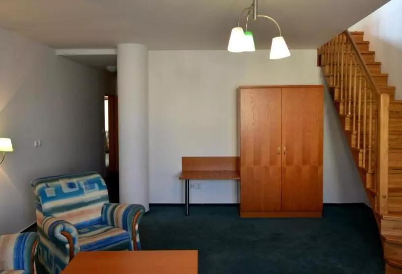 Fotos del hotel Dvorak:  8