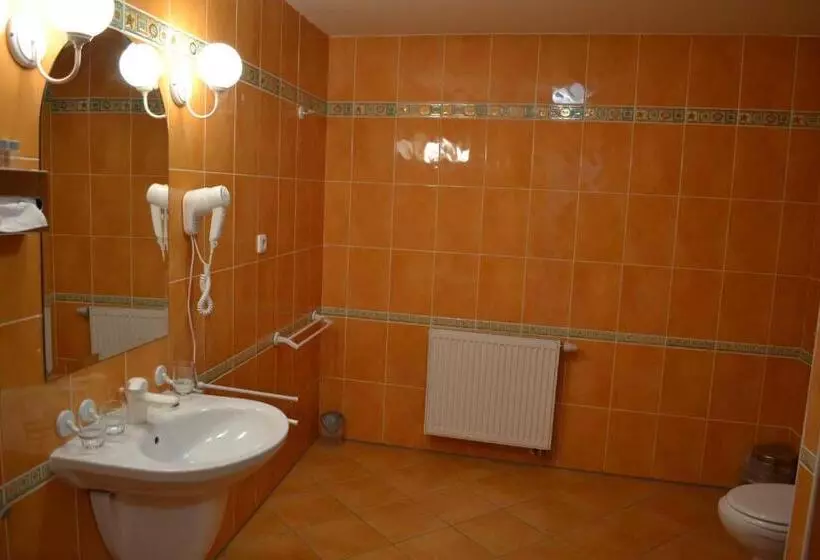 Fotos del hotel Dvorak:  5