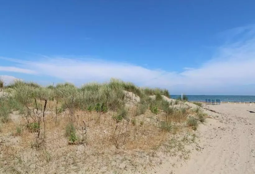 Fotos del hotel Villa Orio E Beatrice:  22