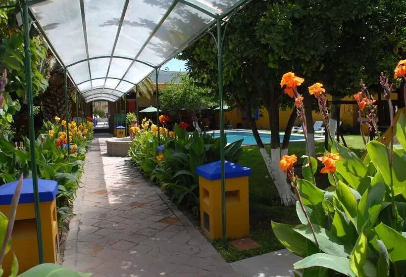 Fotos del hotel Hacienda Don Cenobio:  11