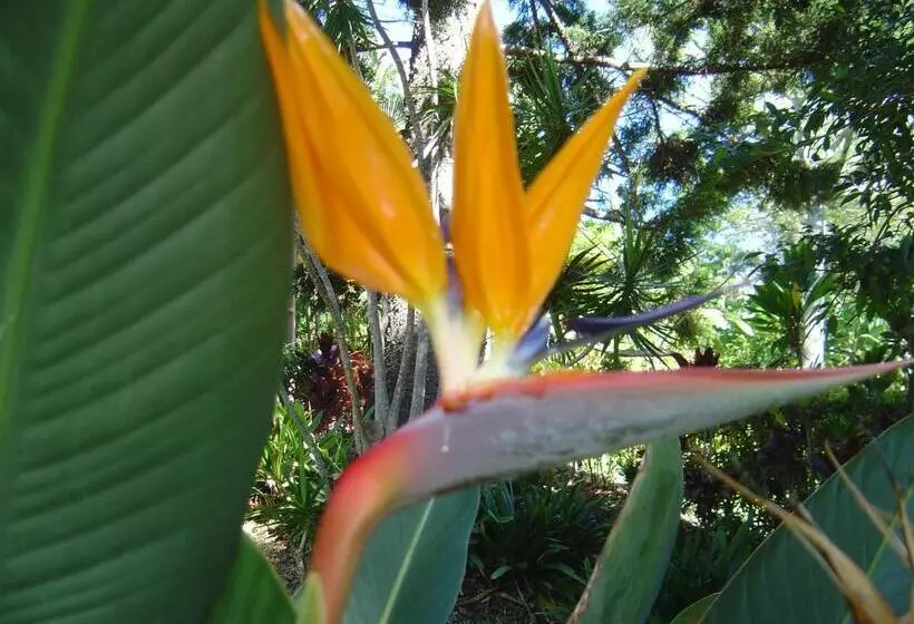 Fotos del hotel Sensom Luxury Bed And Breakfast:  19