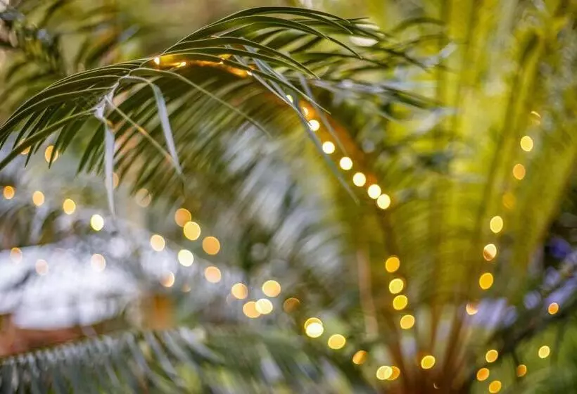 Fotos del hotel Sensom Luxury Bed And Breakfast:  15