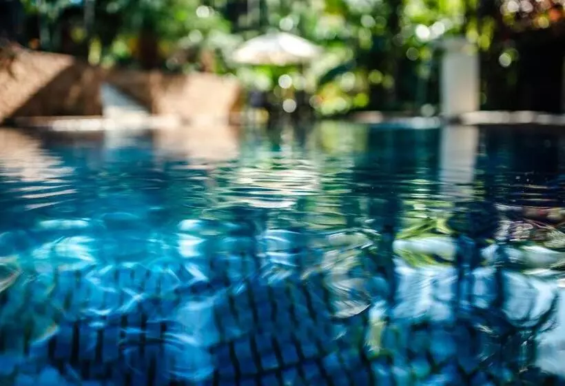 Fotos del hotel Sensom Luxury Bed And Breakfast:  7