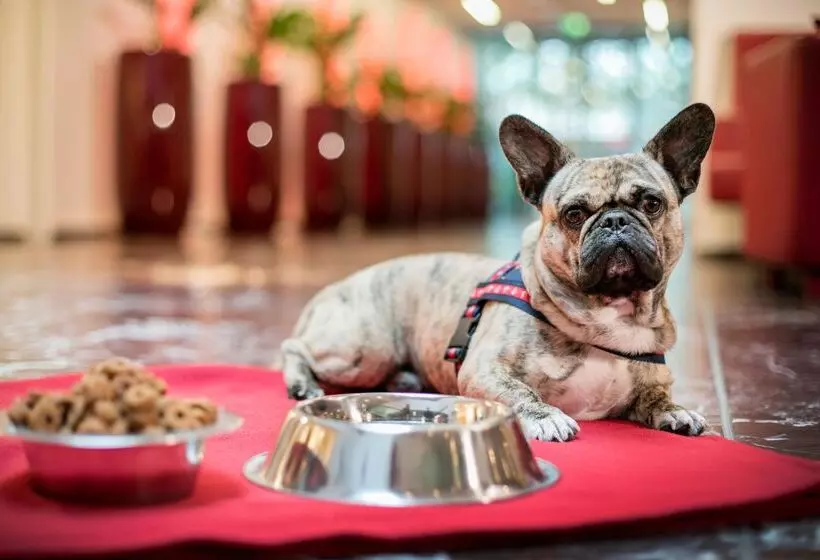 Fotos del hotel Arcotel Rubin Hamburg:  22