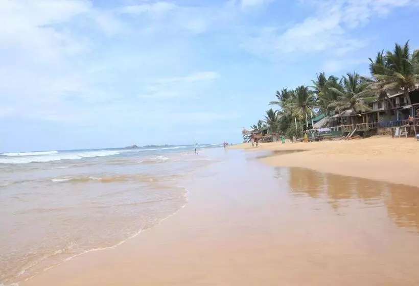 Fotos del hotel Citrus Hikkaduwa:  15