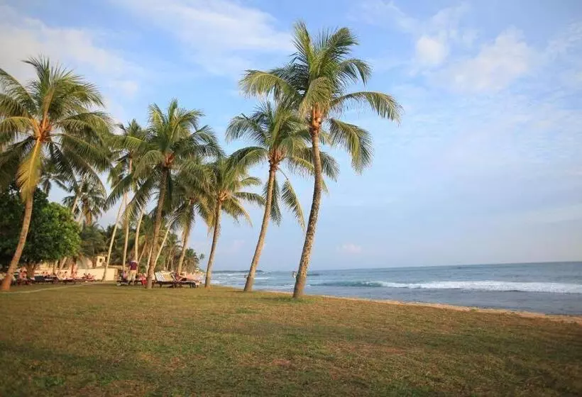 Fotos del hotel Citrus Hikkaduwa:  13