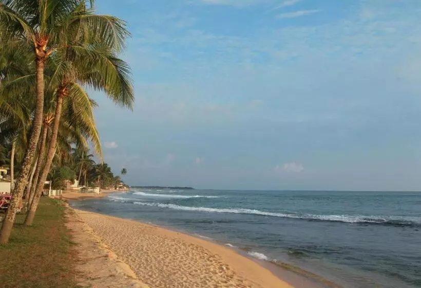 Fotos del hotel Citrus Hikkaduwa:  5