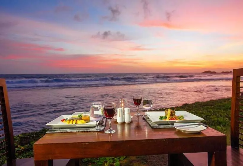 Fotos del hotel Citrus Hikkaduwa:  19