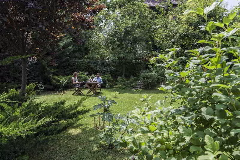 Fotos del hotel Jagello Business:  6