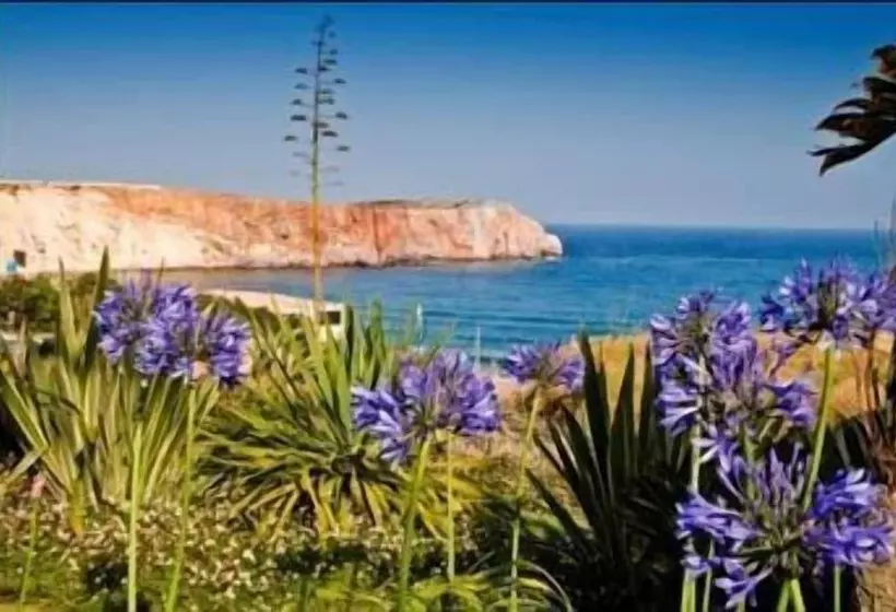 Fotos del hotel Mareta View - Boutique Bed & Breakfast:  14