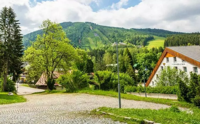 Fotos del hotel Spa Hotel Bily Horec:  7