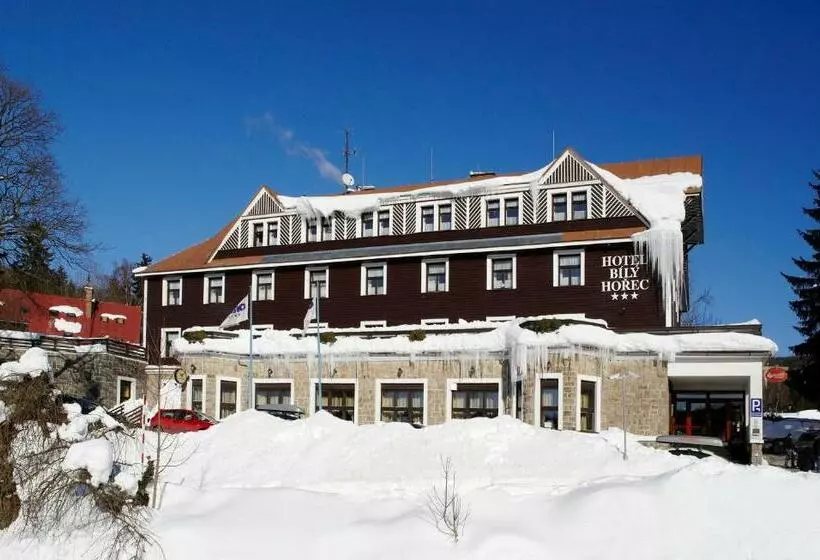 Fotos del hotel Spa Hotel Bily Horec:  15