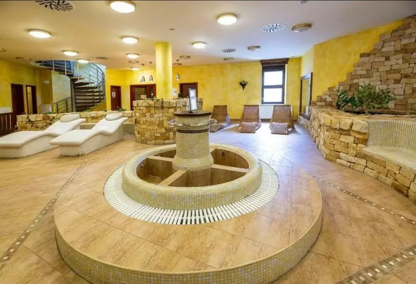 Fotos del hotel Spa Hotel Bily Horec:  17