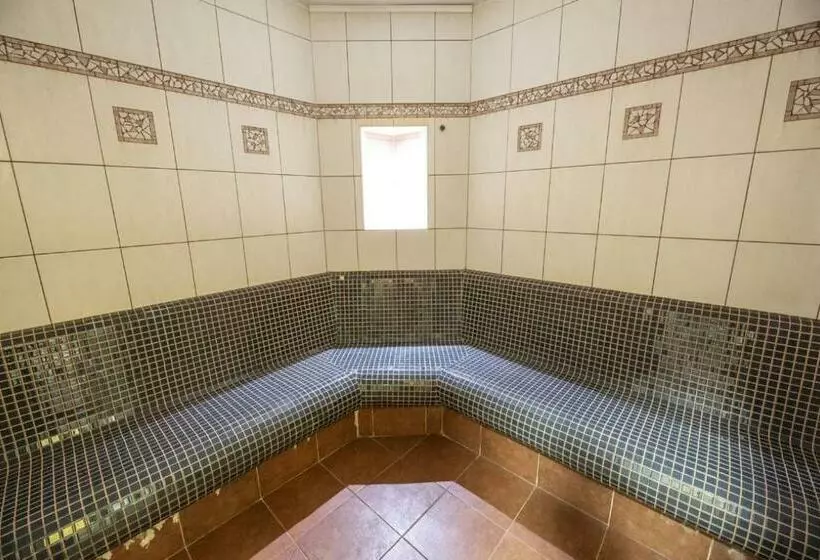 Fotos del hotel Spa Hotel Bily Horec:  3