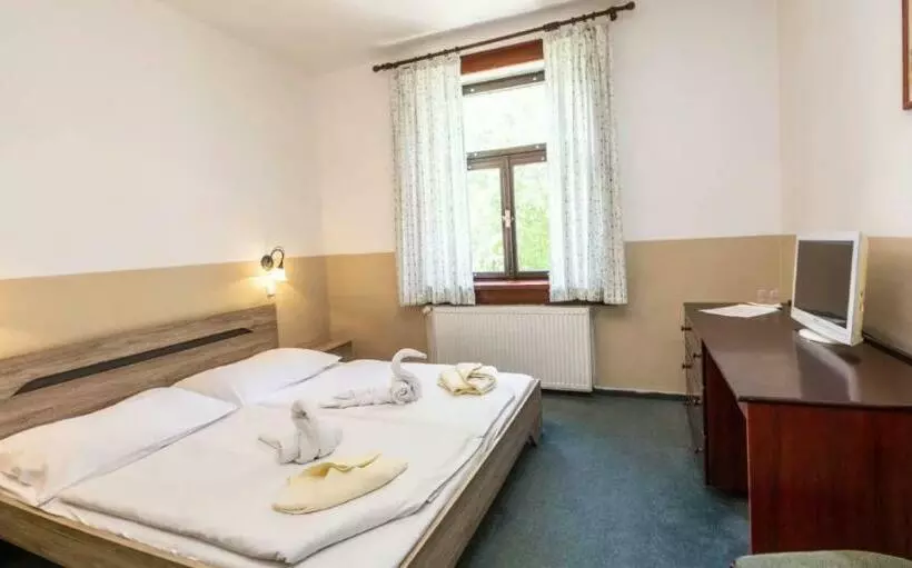 Fotos del hotel Spa Hotel Bily Horec:  2