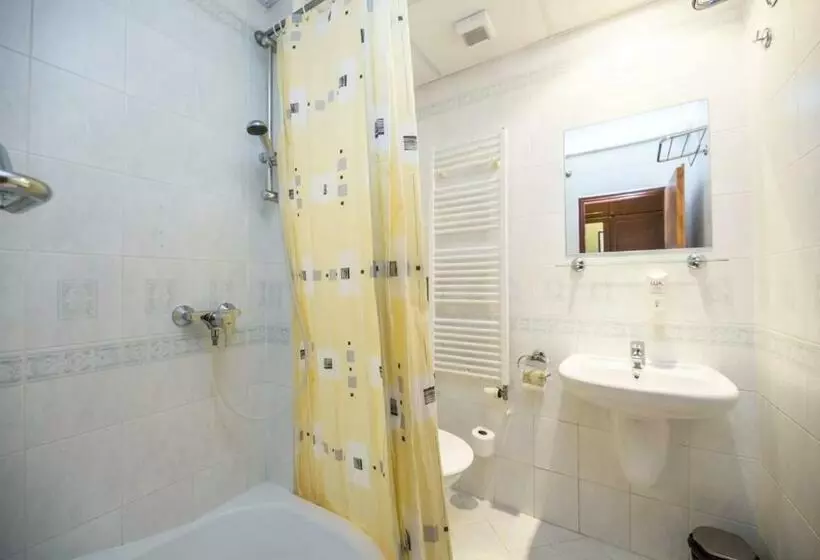 Fotos del hotel Spa Hotel Bily Horec:  13