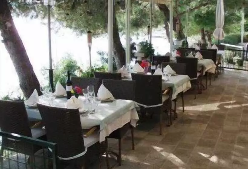 Fotos del hotel Villa Nova:  4