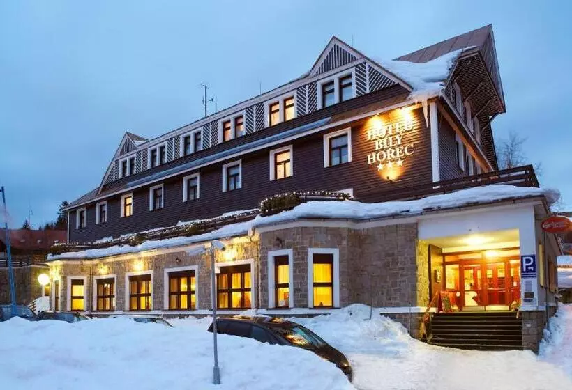 Fotos del hotel Spa Hotel Bily Horec:  19