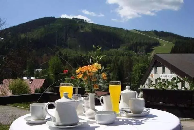 Fotos del hotel Spa Hotel Bily Horec:  12