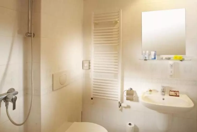 Fotos del hotel Spa Hotel Bily Horec:  6