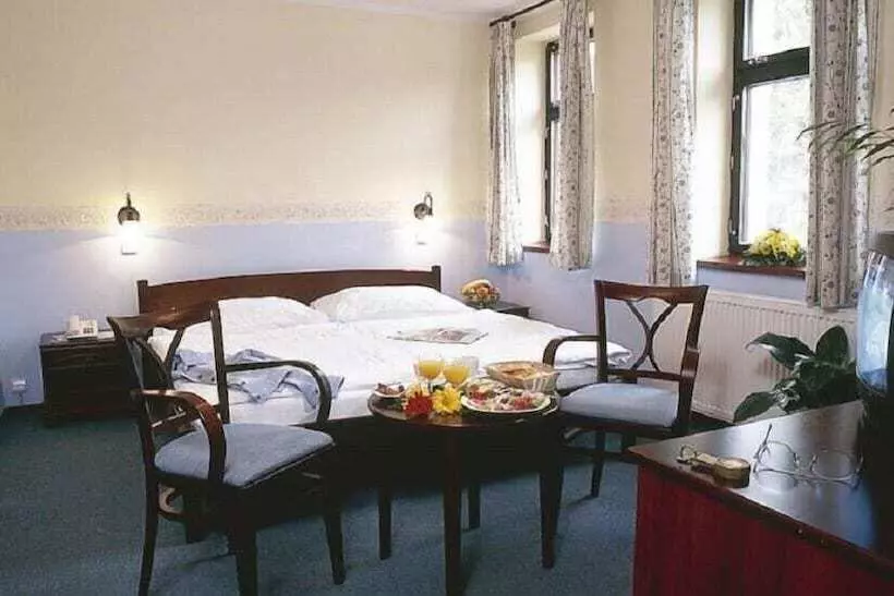 Fotos del hotel Spa Hotel Bily Horec:  9