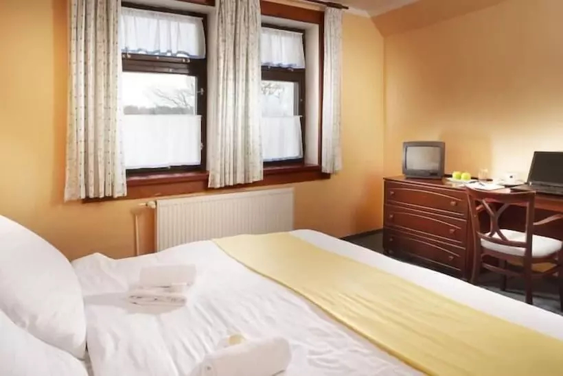 Fotos del hotel Spa Hotel Bily Horec:  16