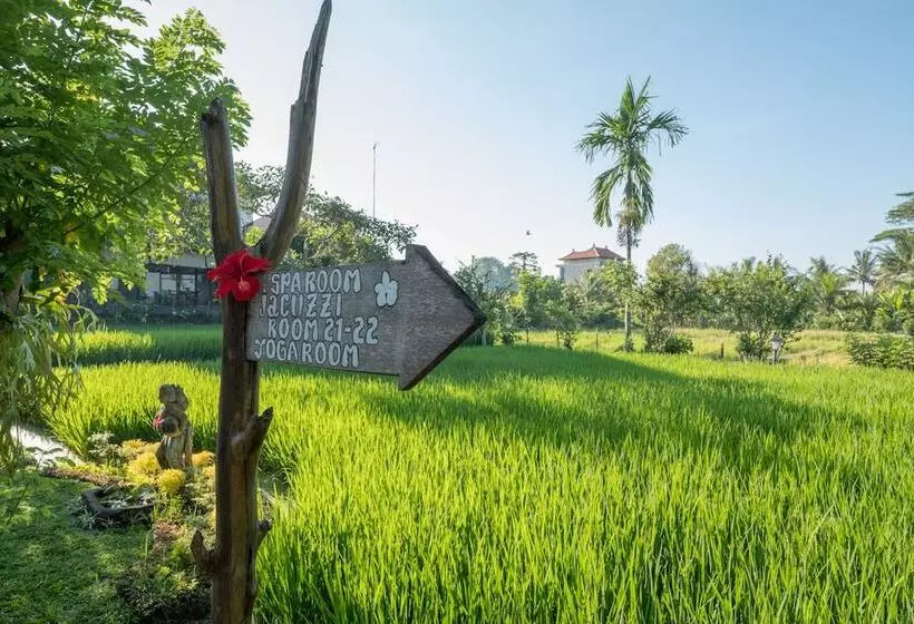 Fotos del hotel Ananda Ubud Resort:  19