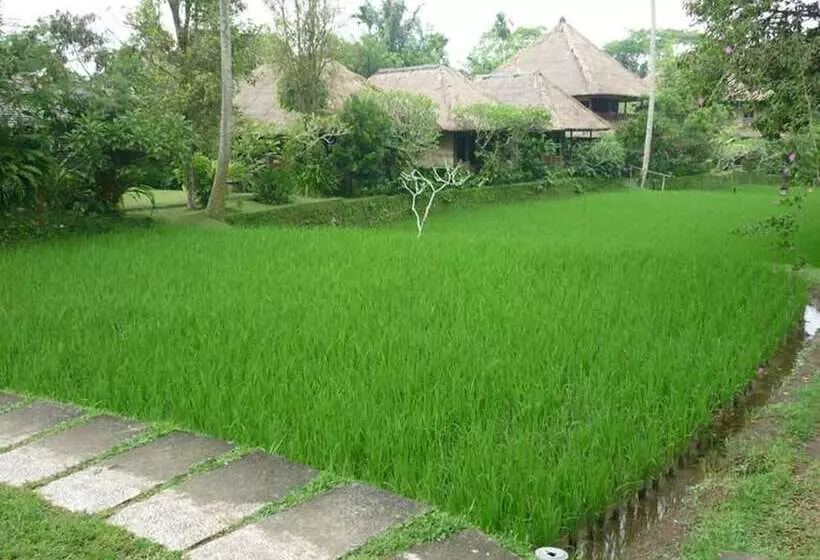 Fotos del hotel Ananda Ubud Resort:  25