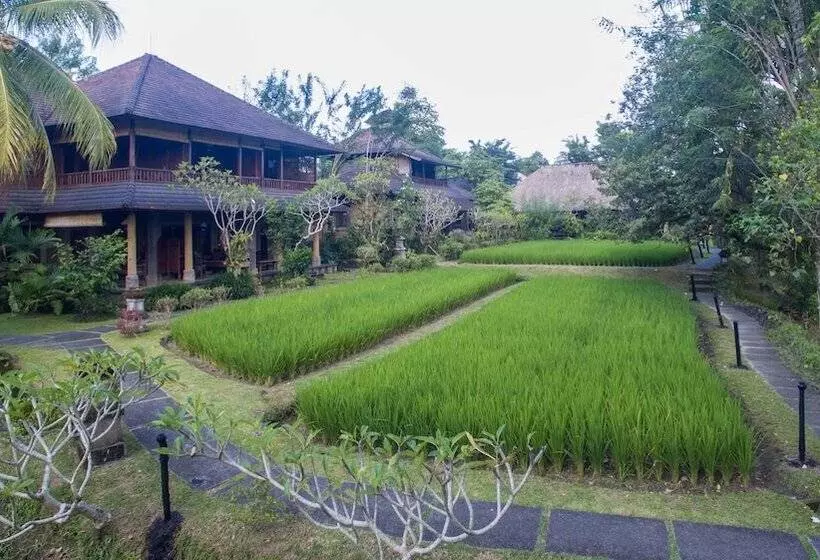 Fotos del hotel Ananda Ubud Resort:  14