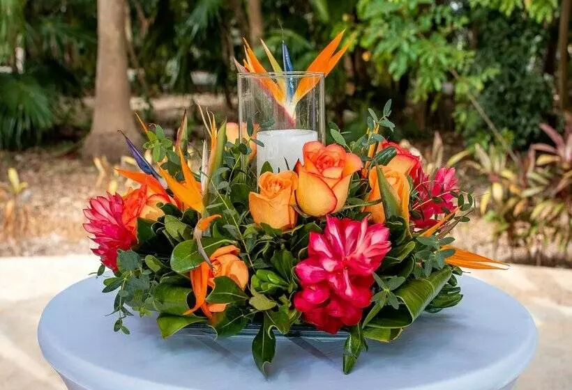 Fotos del hotel Valentin Imperial Riviera Maya All Inclusive - Adults Only:  101