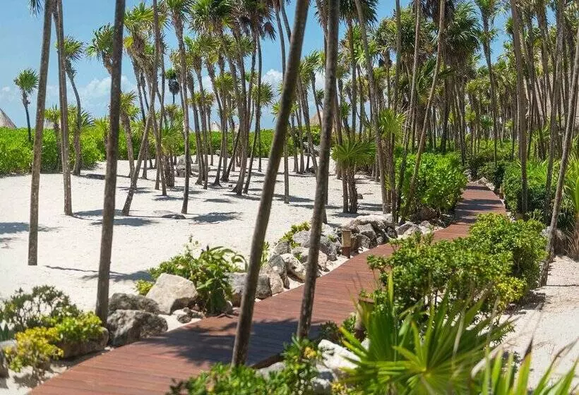 Fotos del hotel Valentin Imperial Riviera Maya All Inclusive - Adults Only:  234