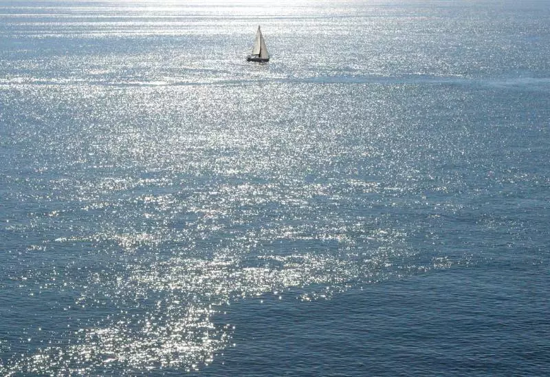 Fotos del hotel Arrayanes Playa:  19