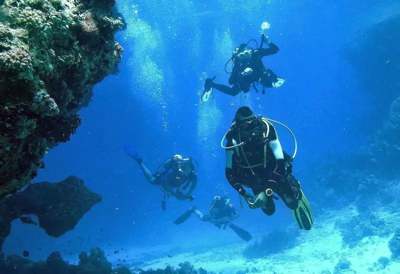 Fotos del hotel Arrayanes Playa:  7