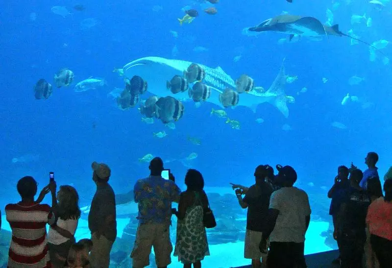 Fotos del hotel Arrayanes Playa:  17