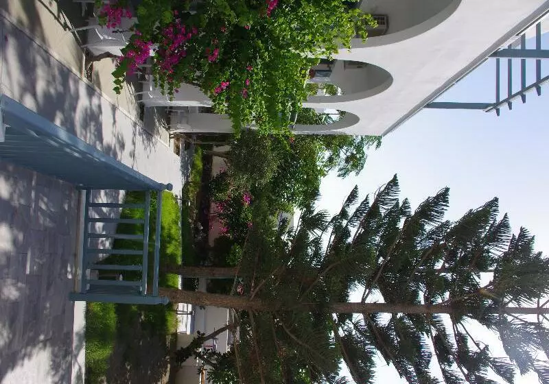 Fotos del hotel Iris Boutique:  19