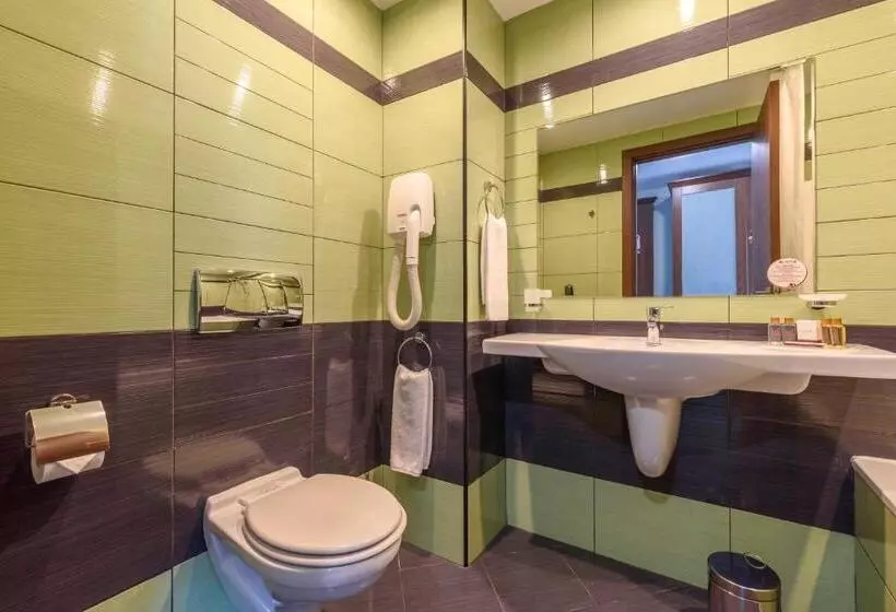 Fotos del hotel Lion :  8