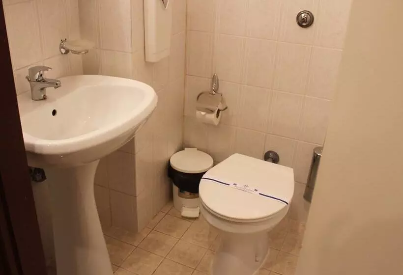 Fotos del hotel Domus Hotel-1:  2