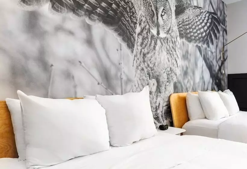 Fotos del hotel Hôtel Du Jardin By Les Lofts Vieux-québec:  9