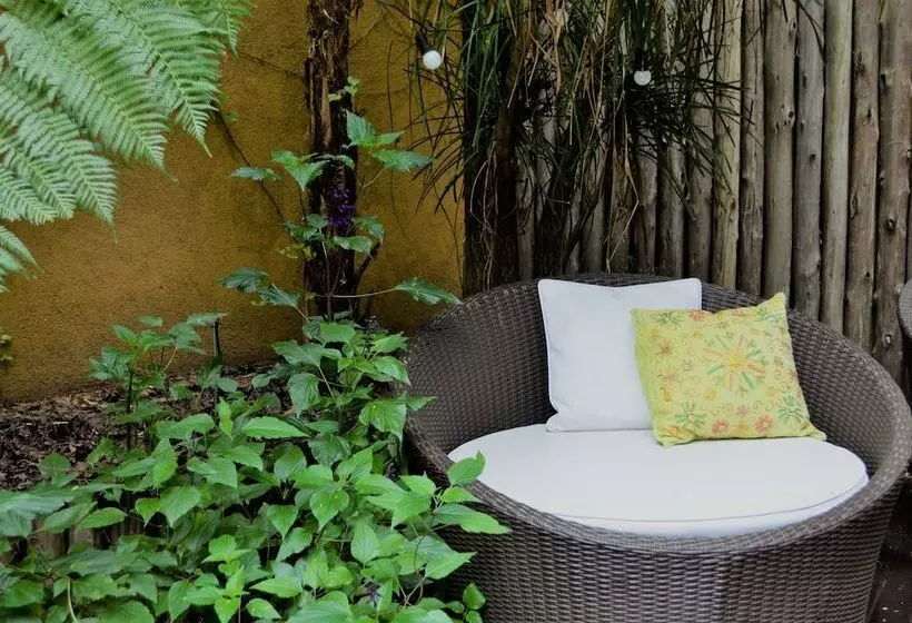 Fotos del hotel Mine:  11